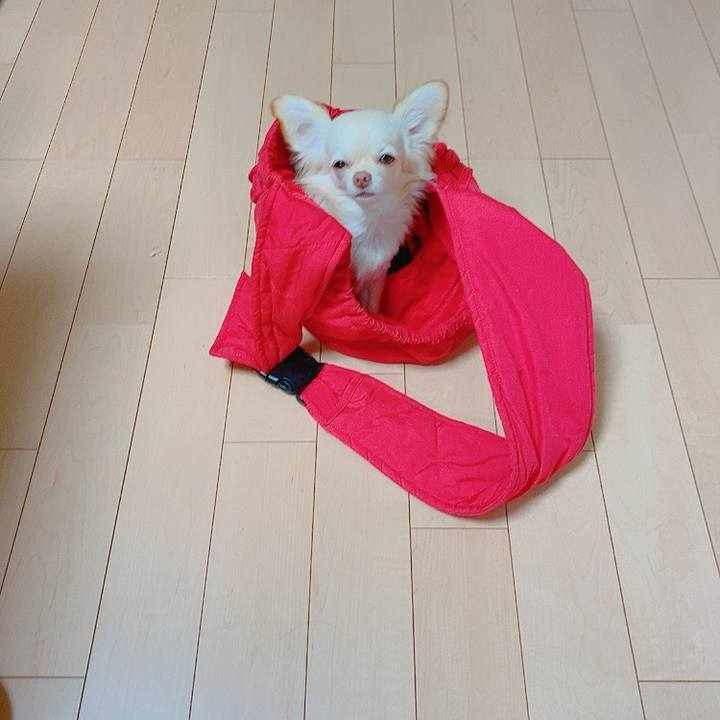 B358a46f b7e0 4a86 b67b 7809a819a4d2 1621285147380