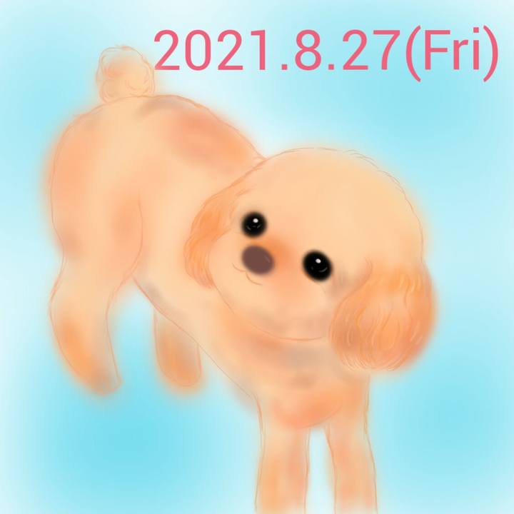 B358c28a 214d 4f76 96a1 57a534c6dd08 1630066012090