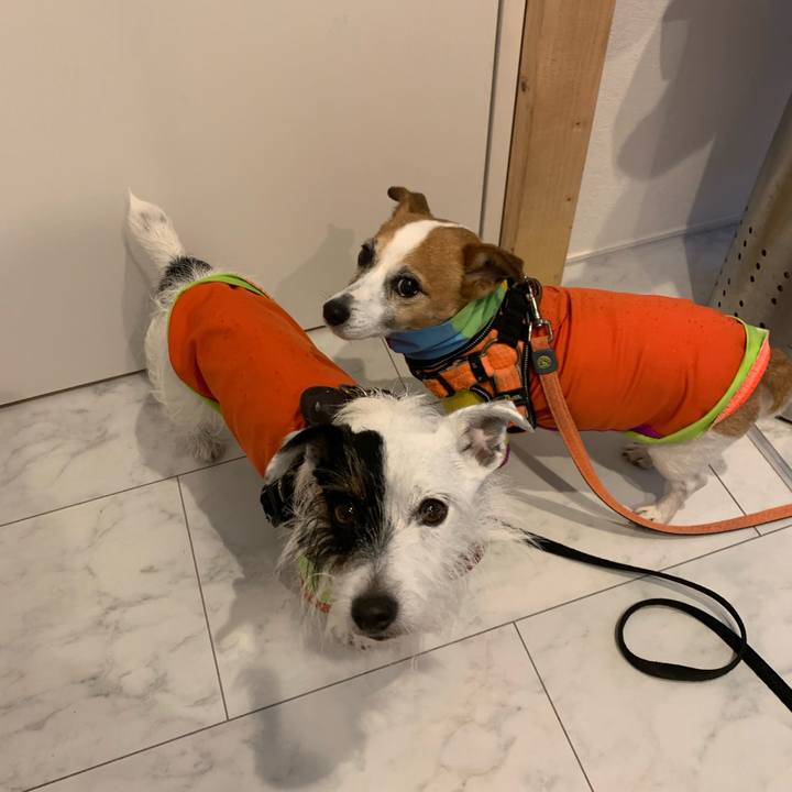 B358e16b d046 46fc 9553 09af9e53ff39 1638929282253