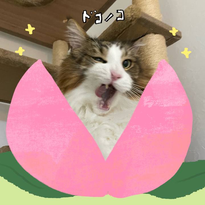 B358fde3 4455 43c6 b4ca 0ea1e7b353a8 1771815117120