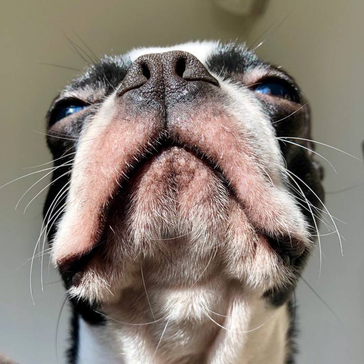 B3591118 b7b4 4208 bb8f 58b34013969a 1548569860082