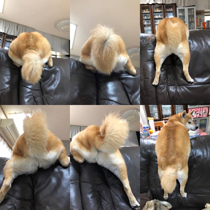 B3592d0d 3c1e 4814 8d20 7e8dc06478e5 1553568557761