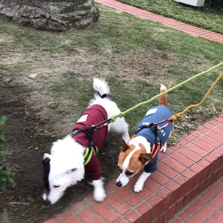 B35940b0 1e25 42b6 89dc 4506b95d409e 1521364599243