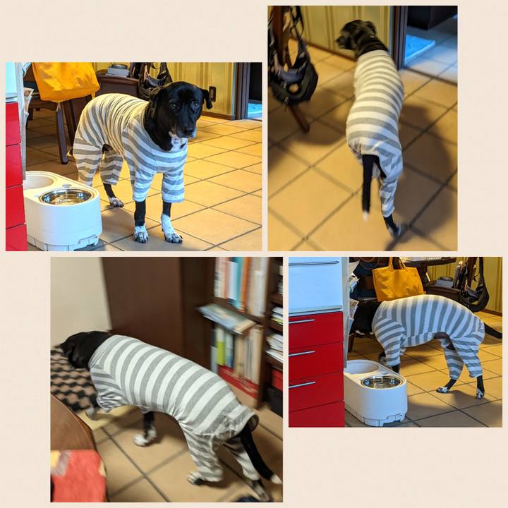 B3598af5 8181 408d a8b0 a49bb3b2fd6d 1674955615160