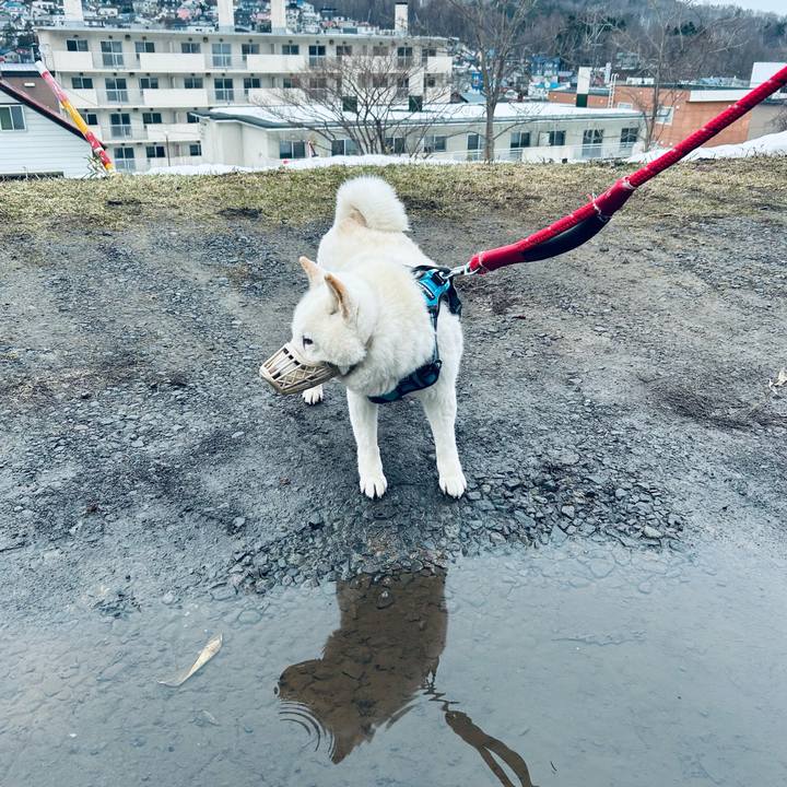 B359aa27 3a98 4c32 a5f2 c7d5194bc34b 1774648828626