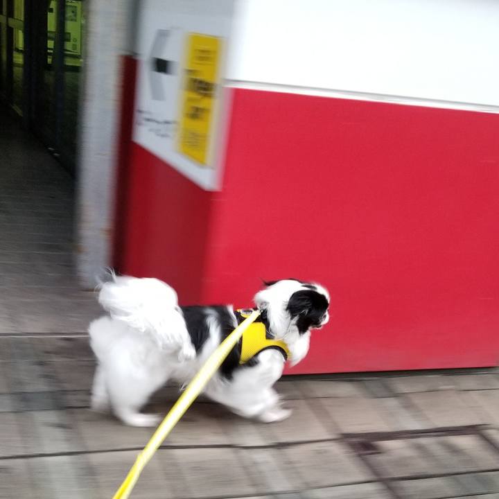 B359b22c 7a60 4631 ae3a 298d2f9eec0b 1535111419381