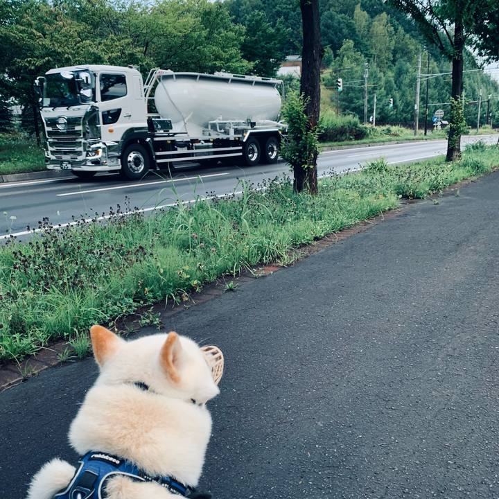 B359bfc4 b6c8 4dd2 b837 3bb589b1c83c 1629665894744