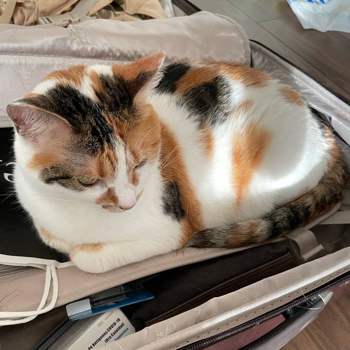 B359c24f 65dd 48e3 895a 57e8291c3754 1653729954386