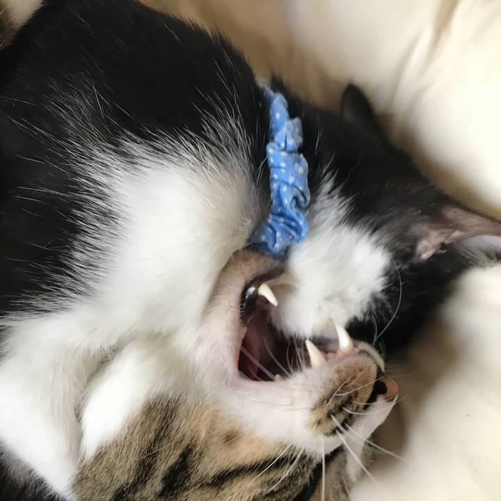 B359cbda 0cdb 49e7 ad8d f4cabe060d95 1511913871920