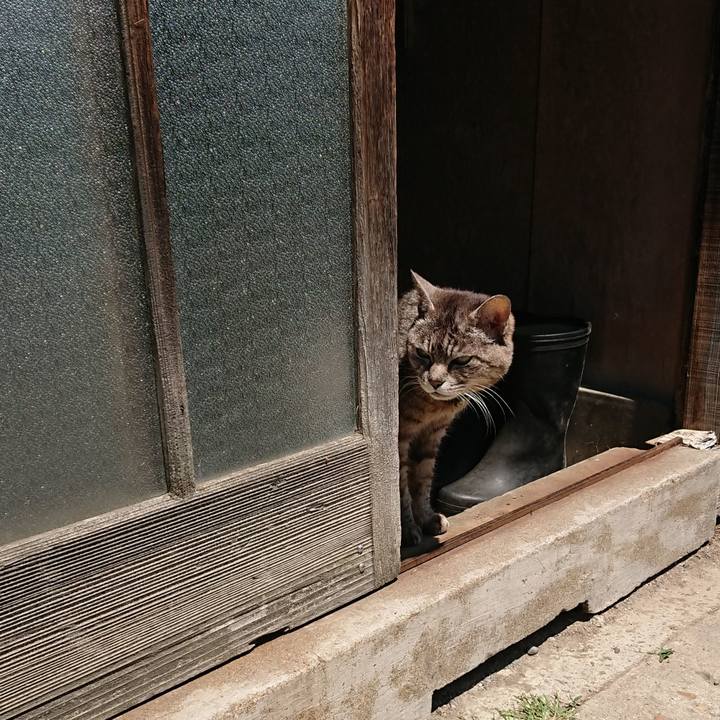 B359eaee 1f46 436e 8eb6 92efe3f0c783 1557024662051