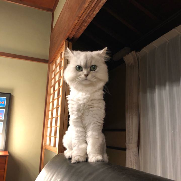 B35a12ab 52be 453f a3e4 763f64f0b5b7 1559651614659