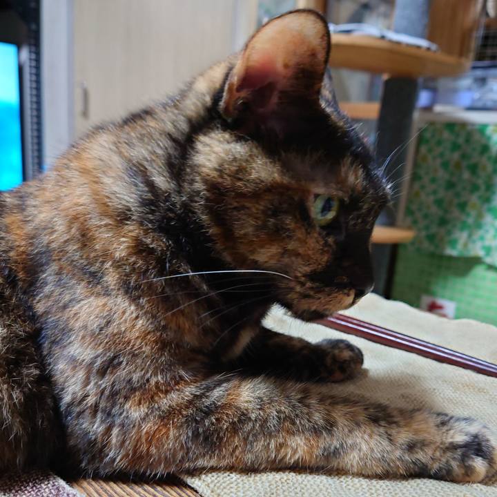 B35a2d5f 51a3 46f4 9c2d a86eae6f5c15 1729251747621