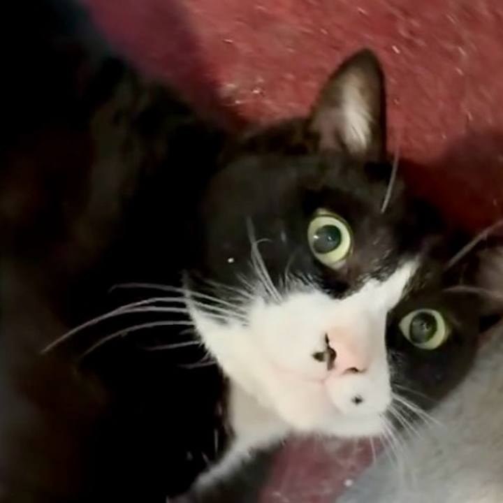 B35a611b 48fb 4937 b516 a14128fee84a 1754791516002