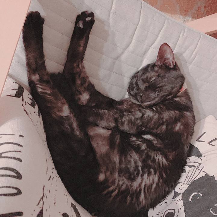 B35aa3e4 d40a 43db 8912 ebb3c8b274b3 1553877348712