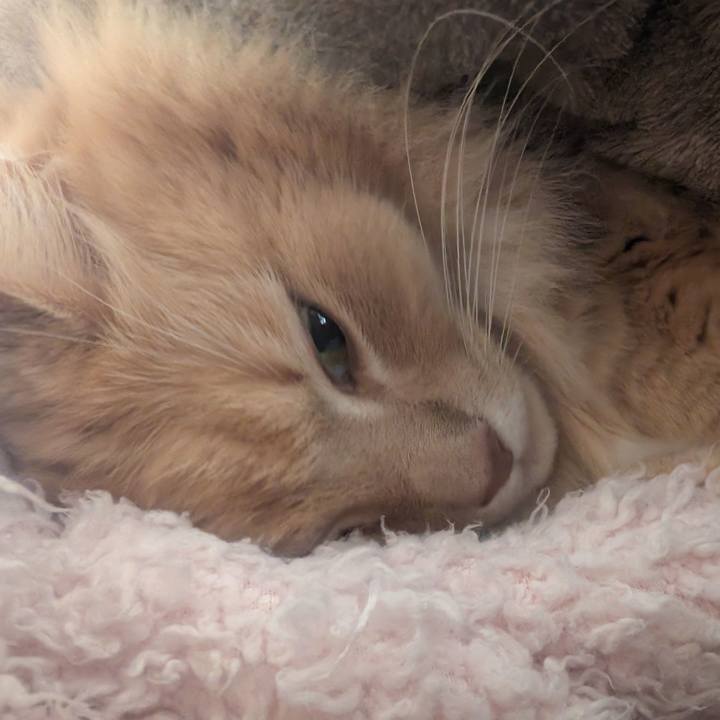 B35aa93a 6abf 4a64 b038 b23c6d9396f1 1774067935509