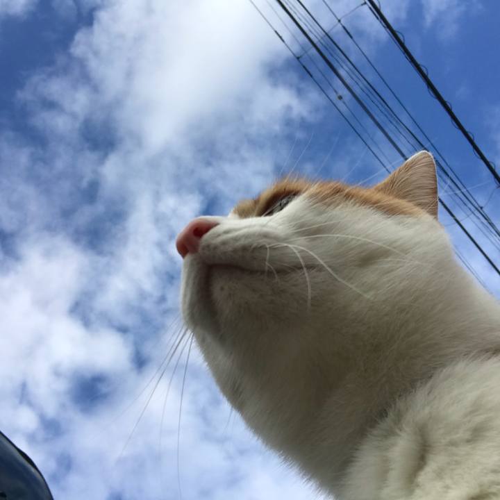 B35aea7c 65e4 4f4c a4d9 739a34d7465f 1513562616747