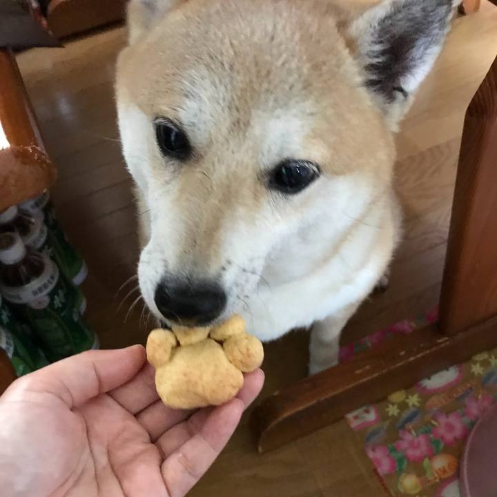 B35aecd8 1a48 4dd2 9996 e06797aa63a9 1526703563816