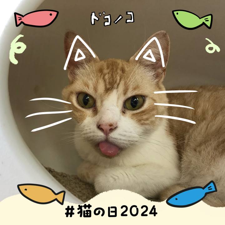 B35b10f9 834f 4955 957e c3acdd793620 1708583676264