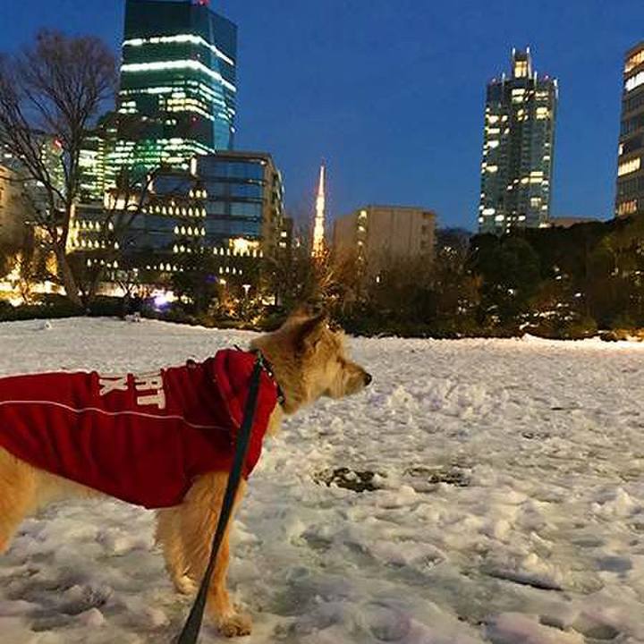 B35b1183 c33b 4ab3 b6ce e133c2adce27 1770519014545