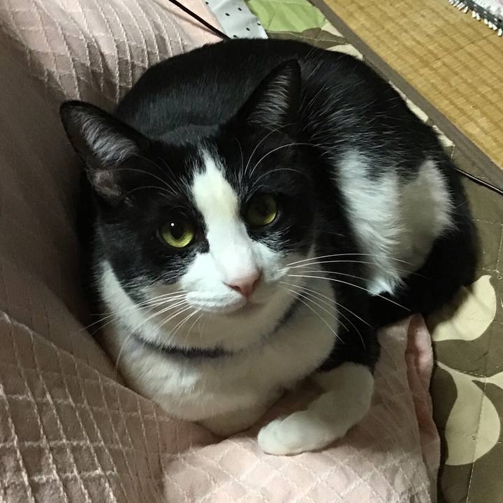 B35b12d3 5844 4b2a b23b b5c70311dfbb 1672321410842