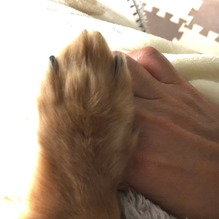 B35b23bc 3aa3 419d 883d 4fd318cd91a9 1610883471513