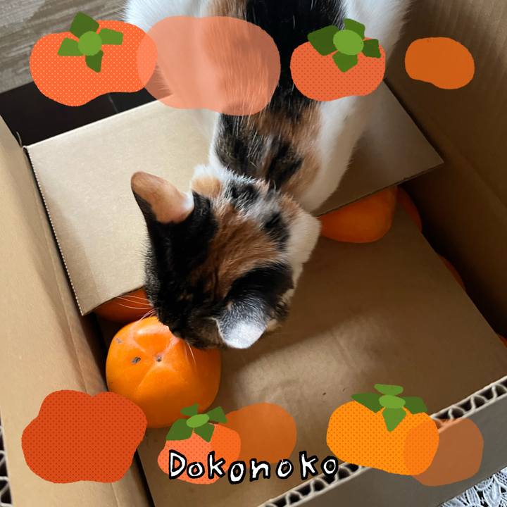 B35b2a32 f487 4007 a173 019ad6e98993 1761264335040