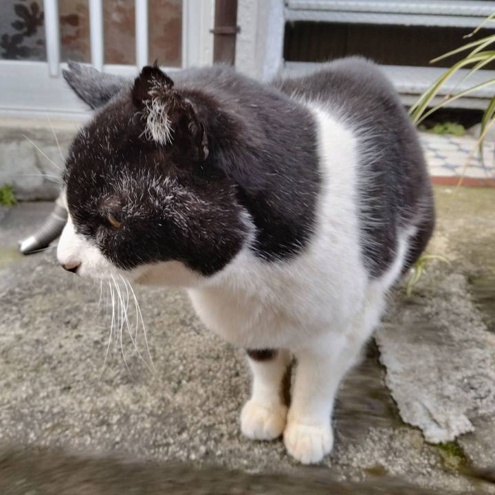 B35b6c44 a18f 406b a795 0a6a3befb1b1 1705275217463