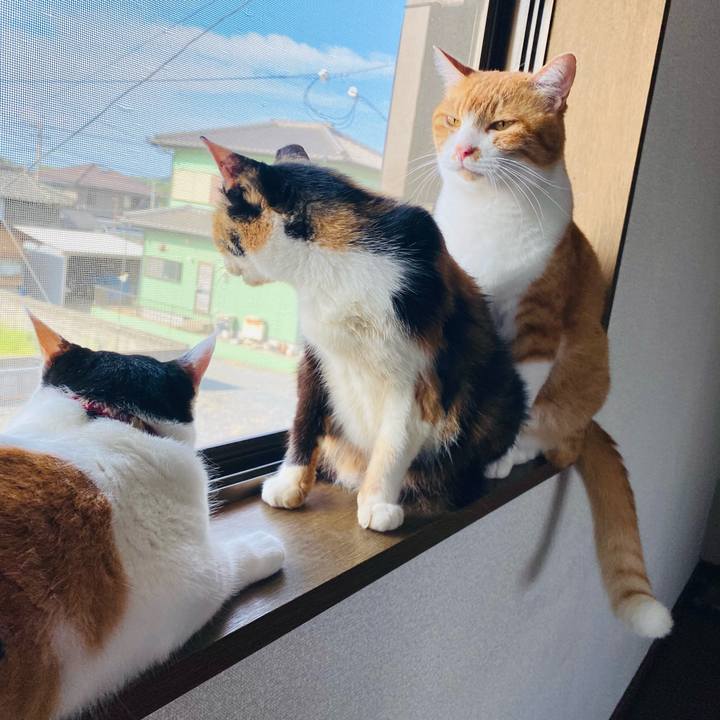 B35b6d36 b18f 4029 8c6a 6359b430496b 1660091654111