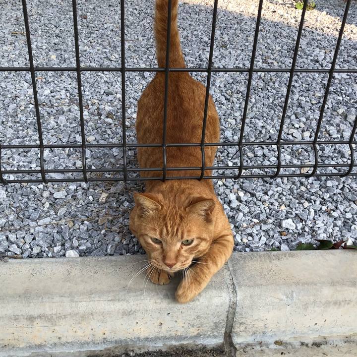 B35b7b6c 863b 4961 9f92 d90996916799 1522227391109