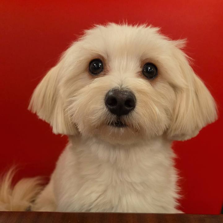 B35bc9cc f718 4817 8077 aa30d67a15ef 1761895655641