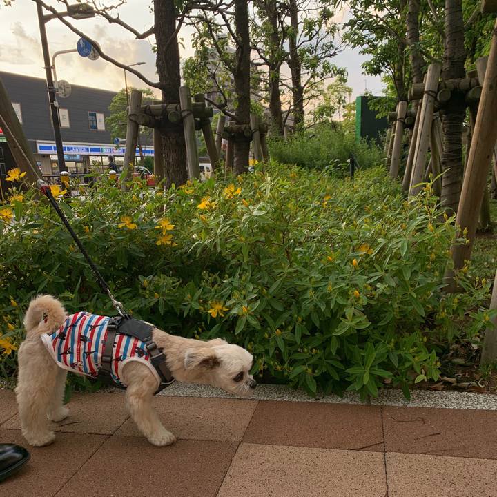 B35c27c4 b246 4699 885d 376cef9ac298 1559129219569