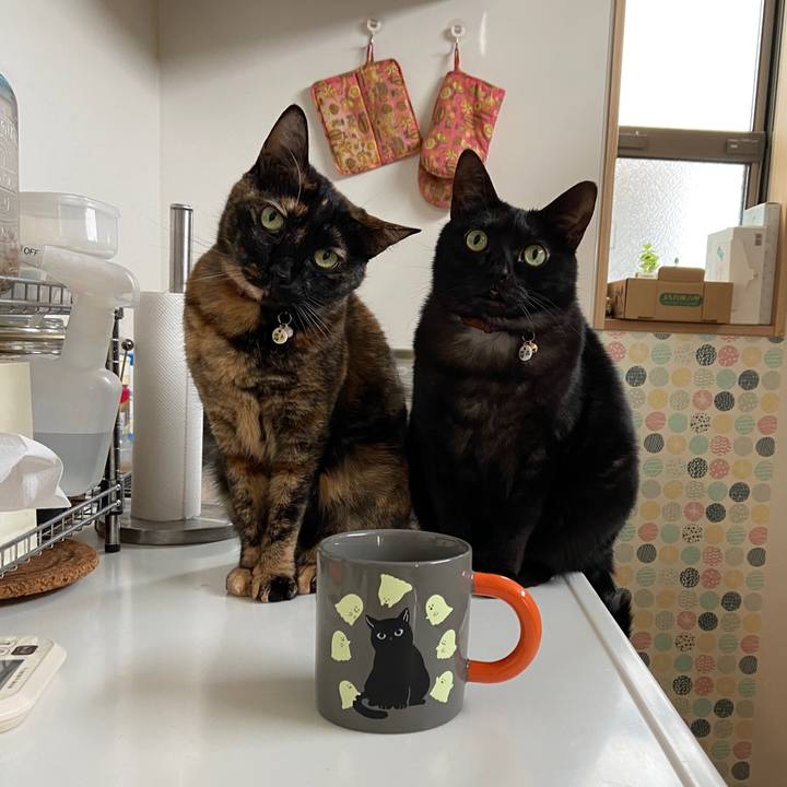 B35c29ec 41f3 4250 a2bd 0b797cc33199 1643503382441