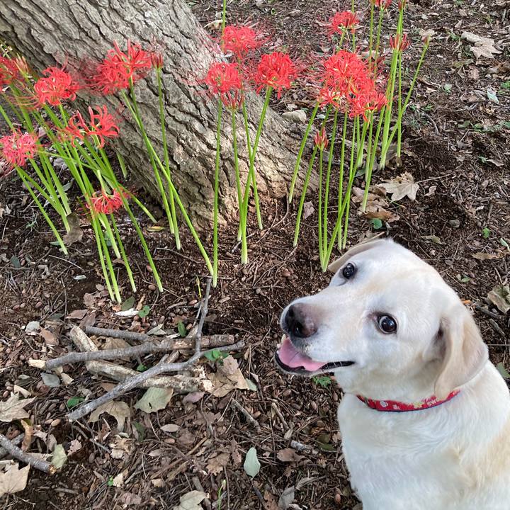 B35c3a7d 3570 48f8 a78e 496d236dd86b 1758415588267