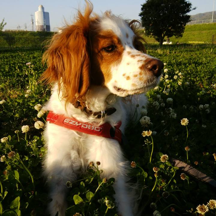 B35c6d10 e8f8 46f4 905c e9a912cc09a2 1525695409401