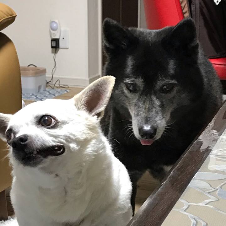 B35cd717 45f4 4d04 a6e9 90f1117431e7 1619828727244