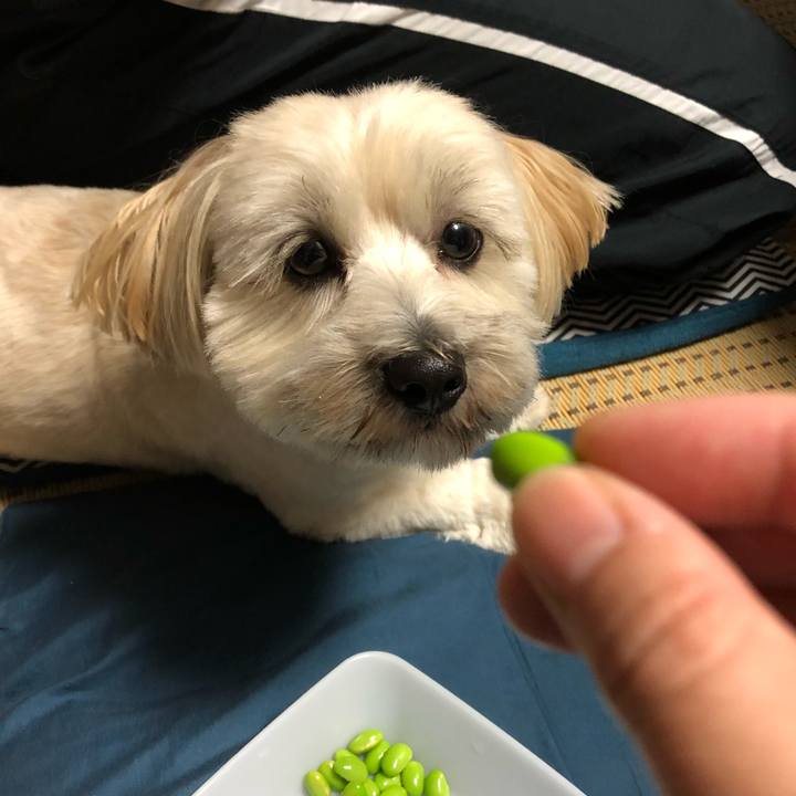 B35ceb4c 202f 431a b115 48bd357b29de 1507948051400