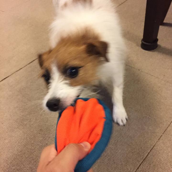 B35cedc4 3120 401c 8fe8 3c51e10a30b1 1509864722250