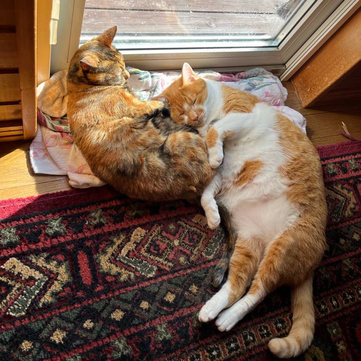 B35d02b9 a7a4 4030 b98a 01bc4171f831 1760153509746