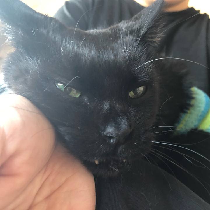 B35d398d fcc2 4122 9d48 1db54cedb054 1636152407965