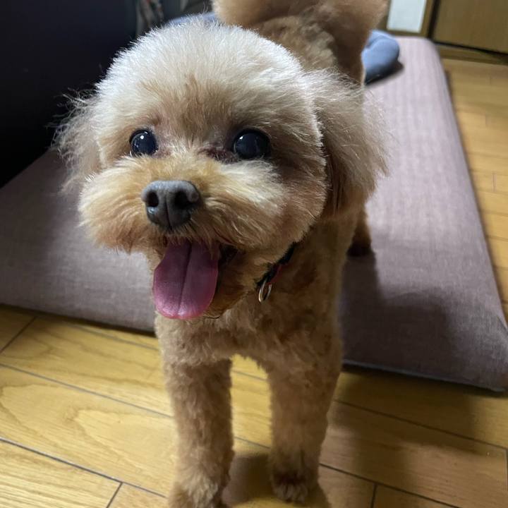 B35d4cc7 d7ec 461b adc6 e7fa8d30c7b2 1697880308915