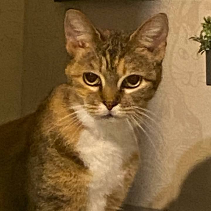 B35d5eb4 525a 4d21 8b48 1c58b86c62a6 1608311162657