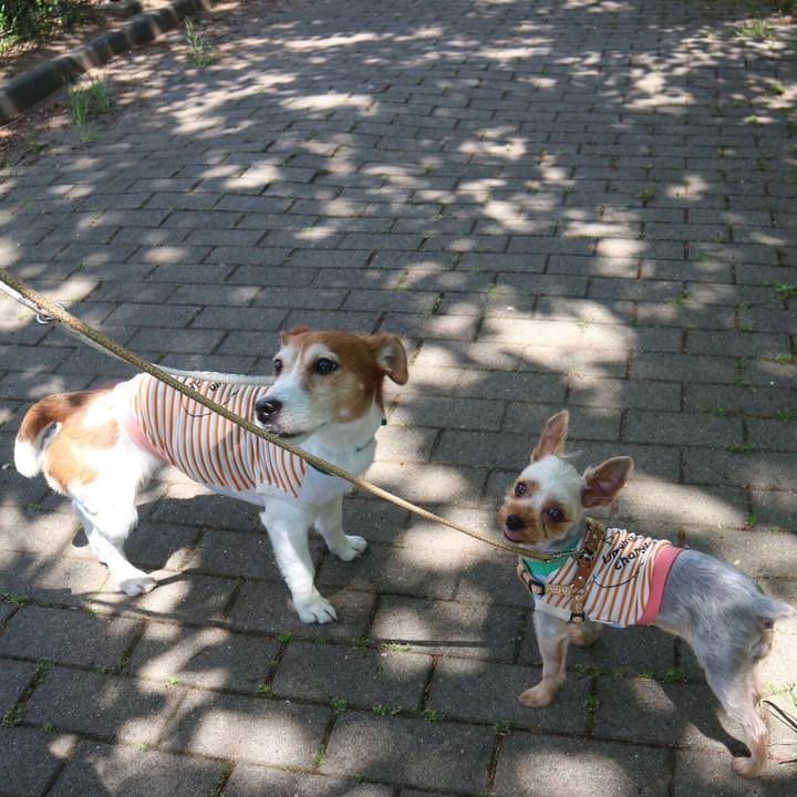 B35d66a2 c693 4cd1 927c f75b03757817 1524392663542