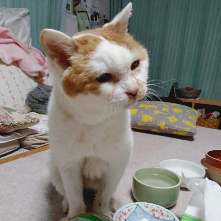 B35d866e 4eaa 4783 93c6 f6806aa5808a 1709944672608