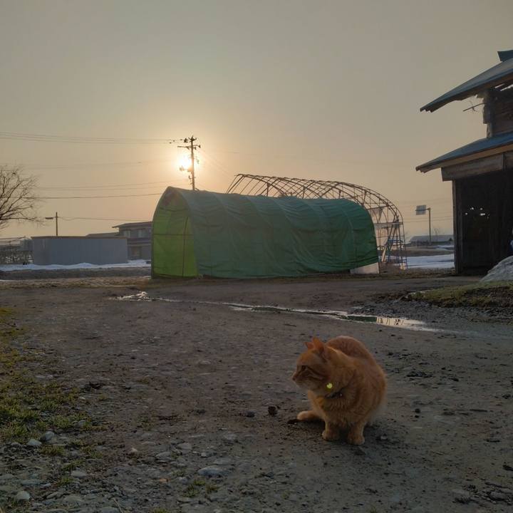 B35d92e3 943a 4176 926b 1a6a7d63d9e7 1678573309443