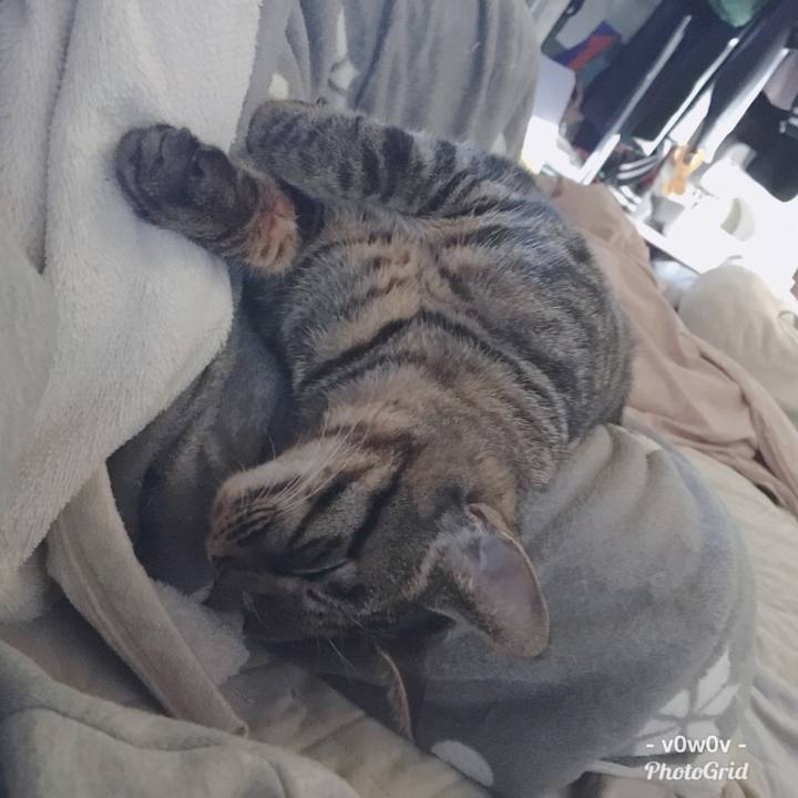 B35dd8d5 73fd 44e3 b5c1 ca40a45ce888 1548742631158