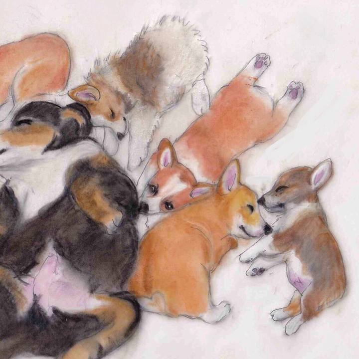 B35ddc2c a1eb 49c2 8da6 9e16fe26753f 1612660123163