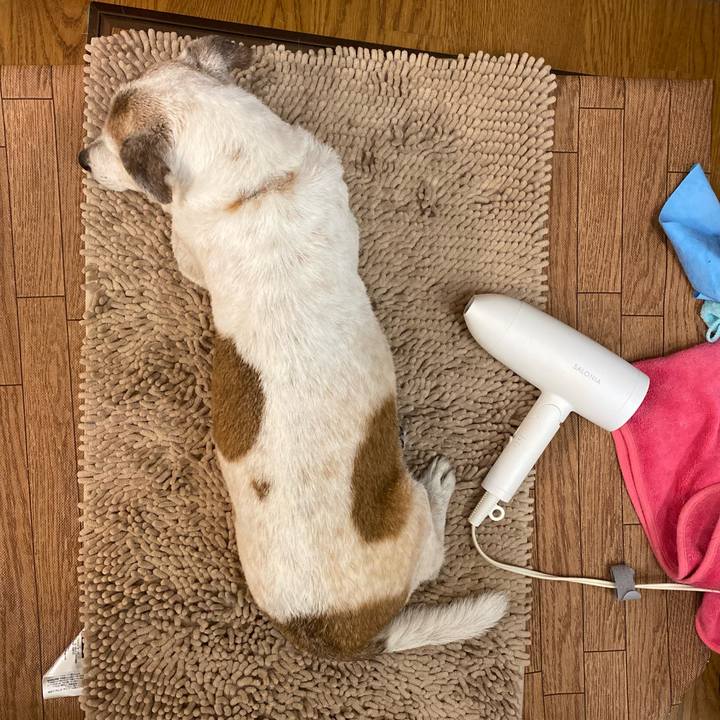 B35de9f4 c37b 4c8b ab64 bf0bc822e5ba 1684636475632