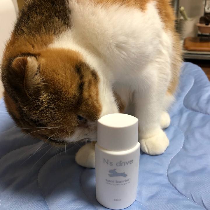 B35df81e 7693 4f73 953b ec76afc5f3b6 1565088417896