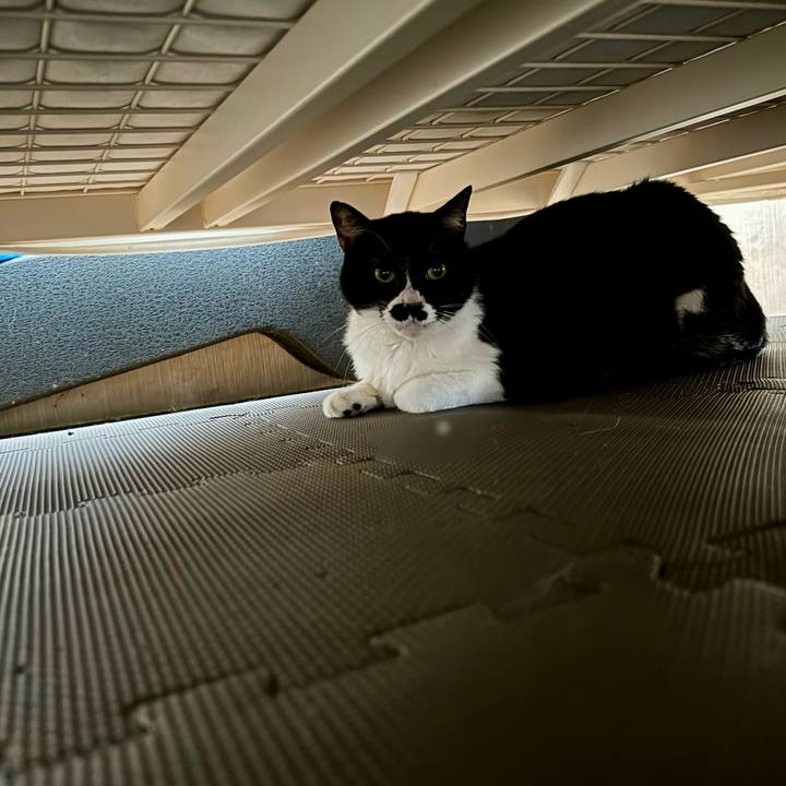 B35e13d7 27c8 4b13 b227 298919fbe17f 1719271891954