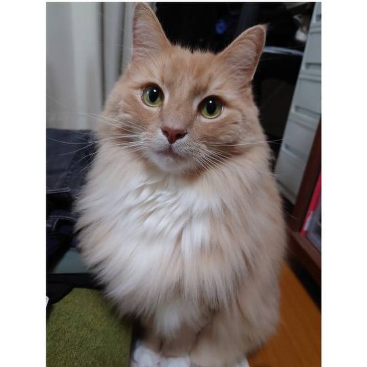 B35e1450 defe 4d44 b871 e2b30c600055 1620097987284